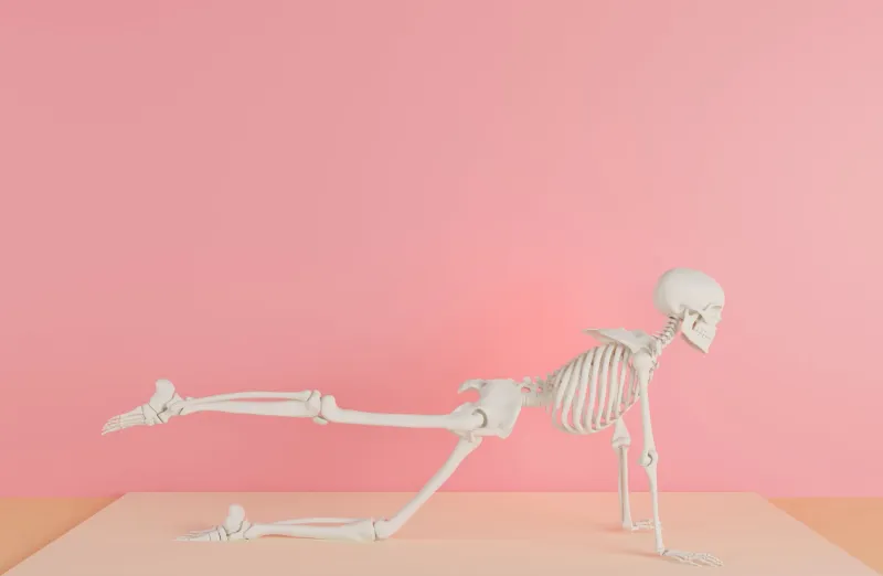 Bottoms Up: The Evolutionary Science That Explains Our Obsession With the Glutes